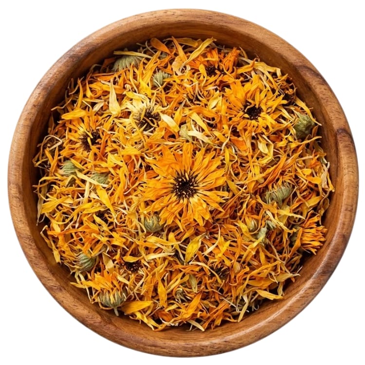 calendula 1