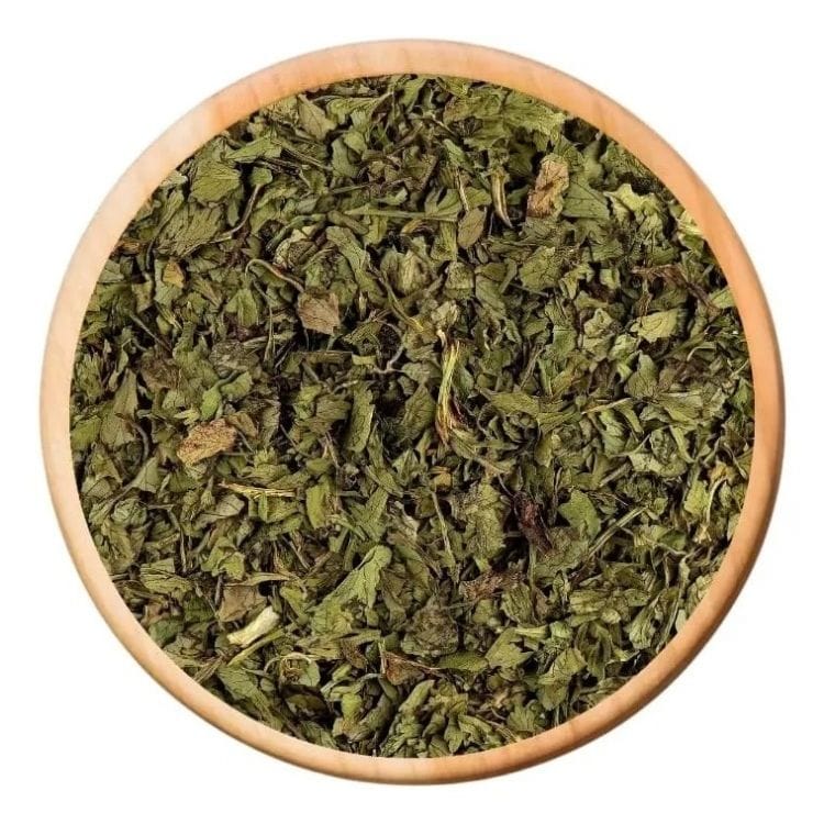 cilantro 1