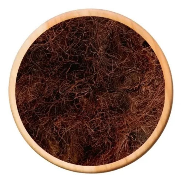 PELO 1